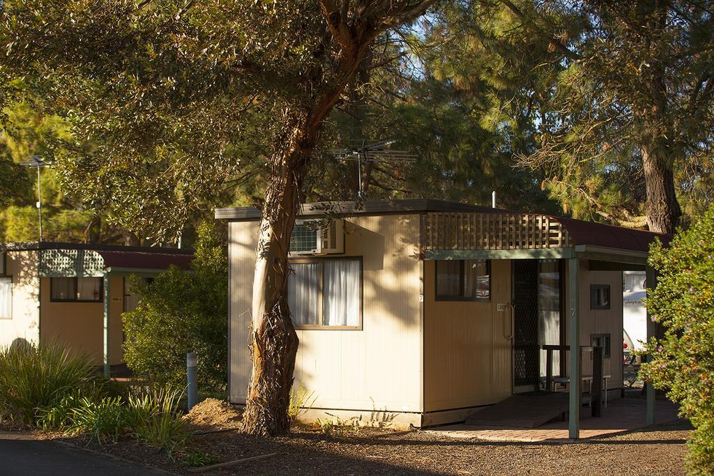 فندق Big 4 Barossa Tourist Park نوريوتبا الغرفة الصورة