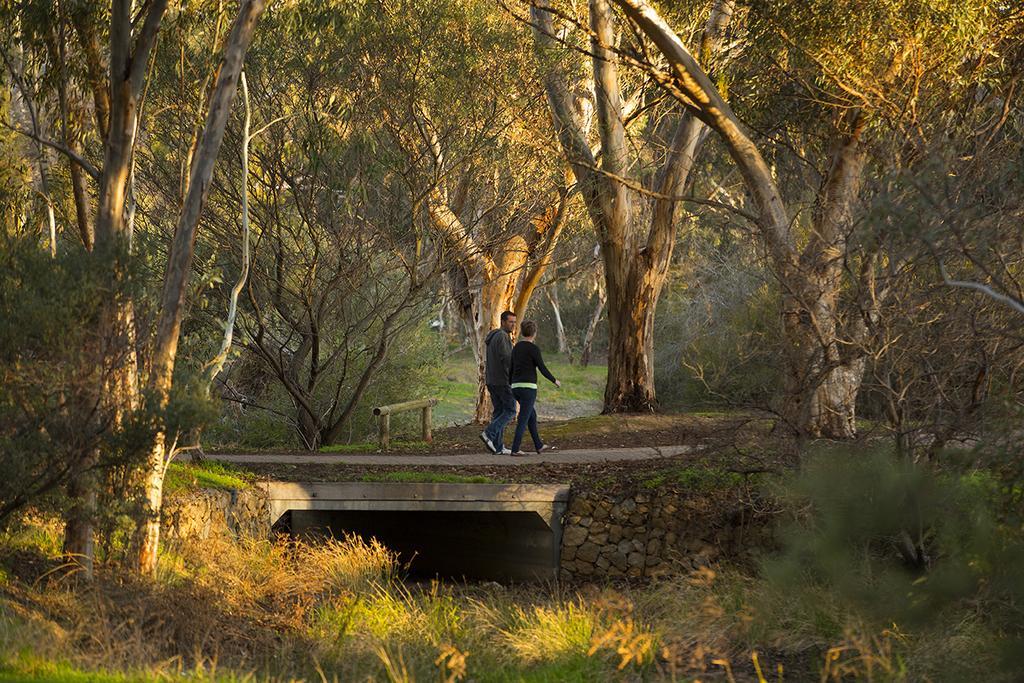 فندق Big 4 Barossa Tourist Park نوريوتبا المظهر الخارجي الصورة